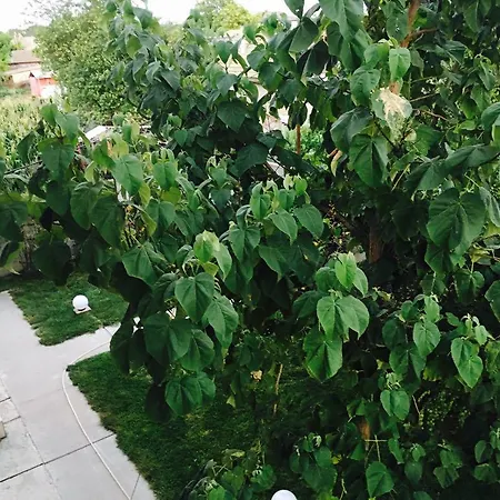 Vila Tundra