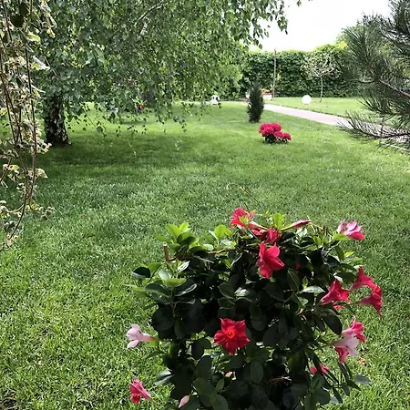 Vila Tundra בית אירוח *